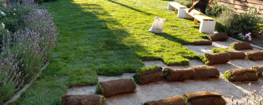 Jardín hermoso con pasto alfombra recién instalado